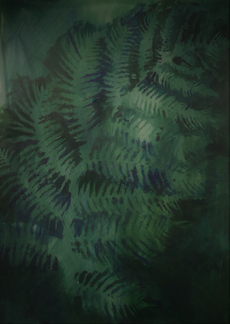 Schaduw van een varenblad