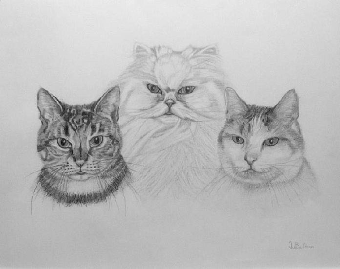 GRUMPY, ED EN DIKKIE