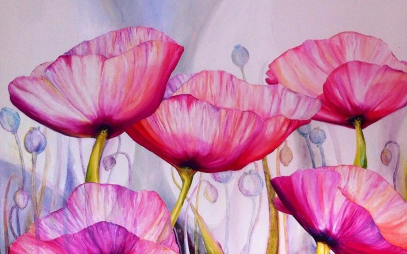 Papaver 1