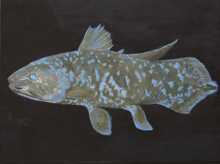 Coelacanth