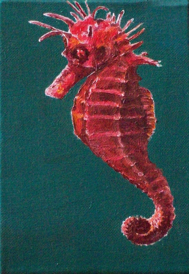 Rode zeepaard