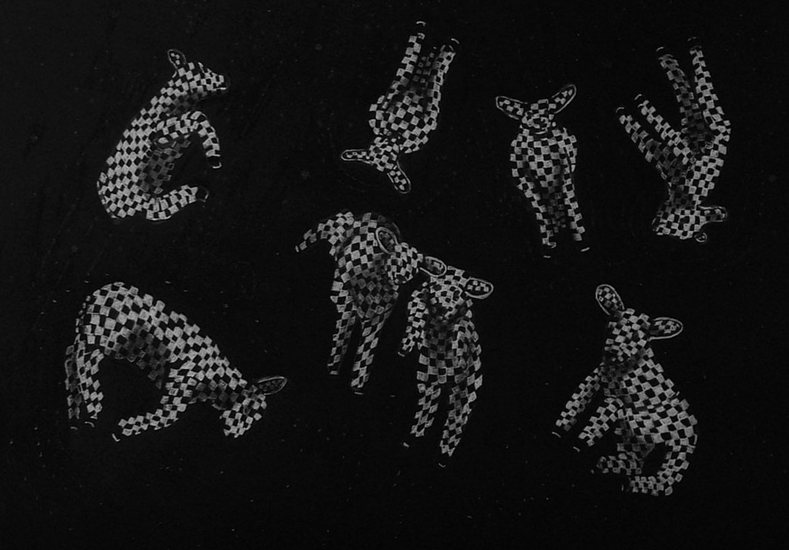 Uitgelaten lammetjes