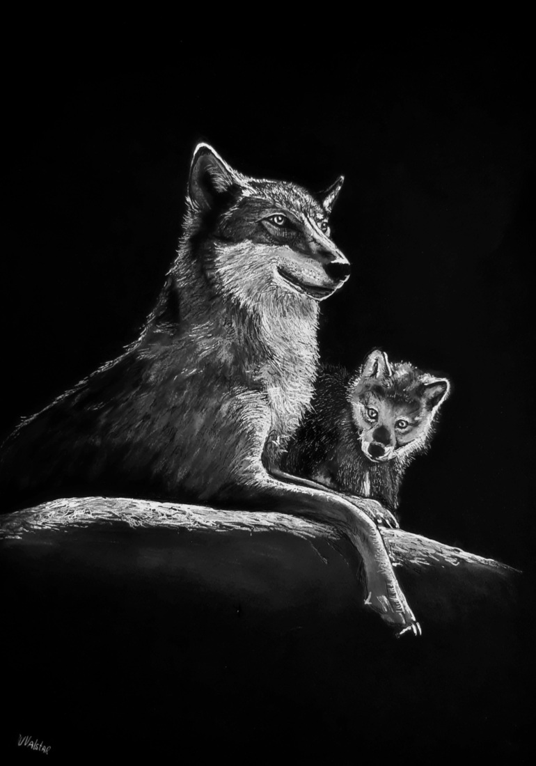 Wolf met welp