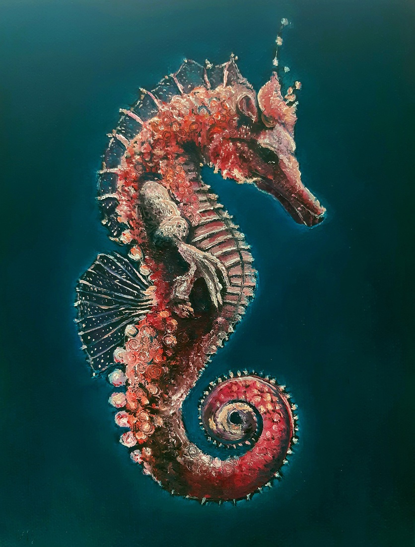 Zeepaardje