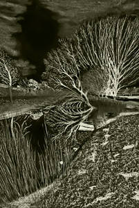 Tekeningen met inkt en/of pastel