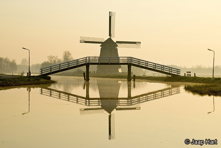 Berkmeerdijk in Ochtendlicht