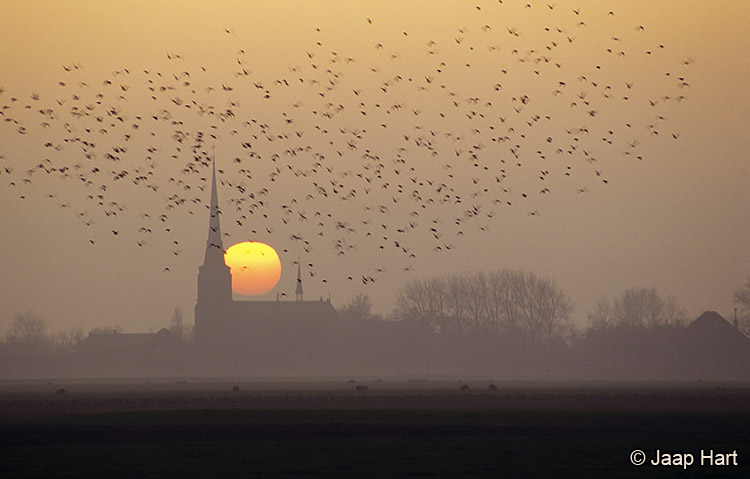 Zonsondergang in West-Beemster