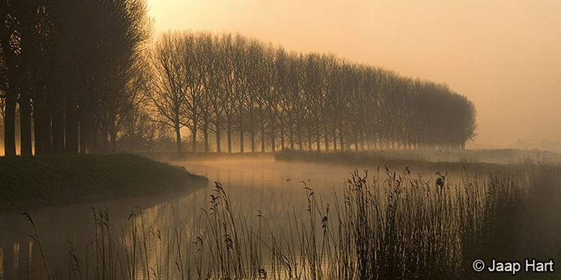 Beemsterringvaart in de Mist