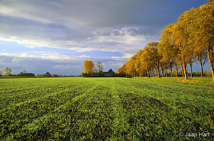 Beemster in de Herfst