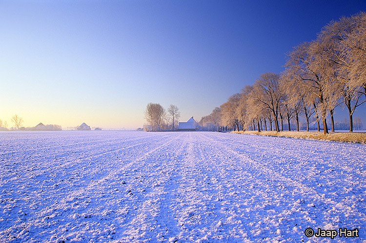 Beemster in de Winter