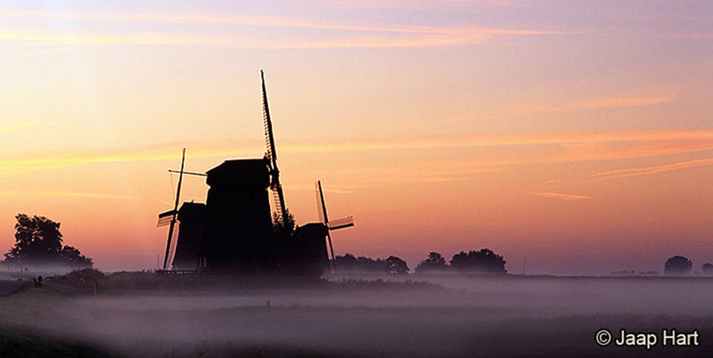 Molens in de Mist