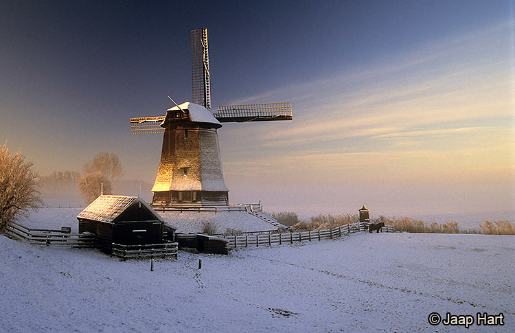 Molen in Sneeuwlandschap