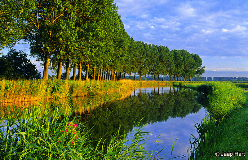 Beemsterringvaart in de Zomer