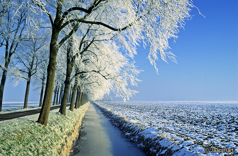 Winter in de Beemster