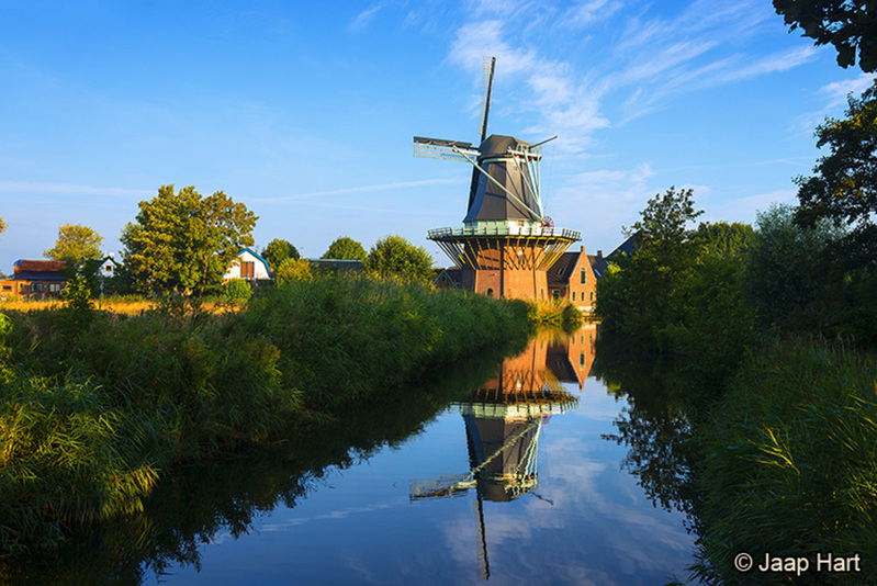 Molen de Gouden Engel Koedijk