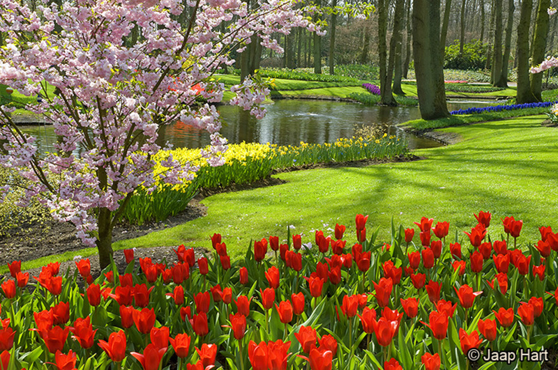 Keukenhof 7