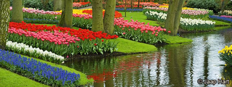 Keukenhof 13