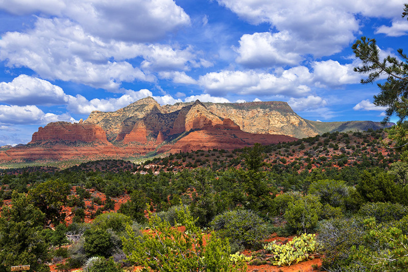 Sedona 6