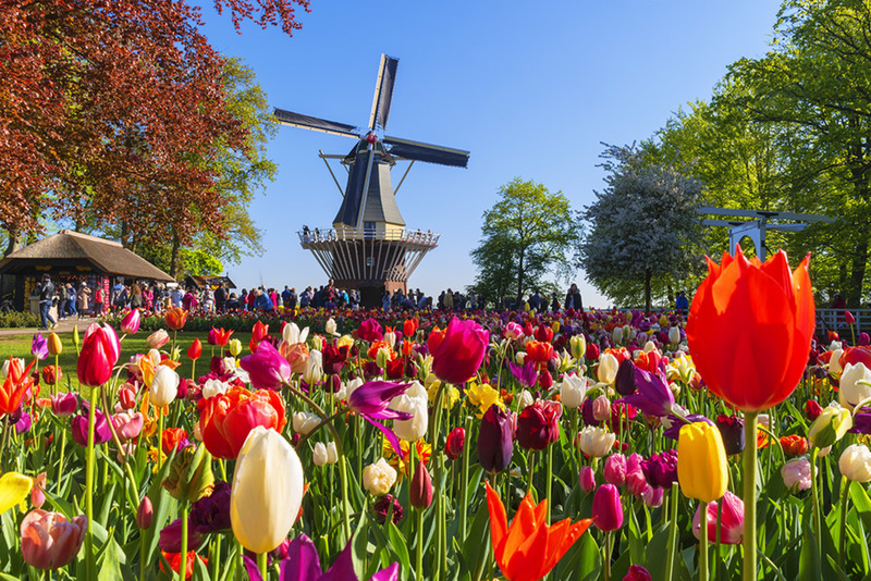 Keukenhof 32