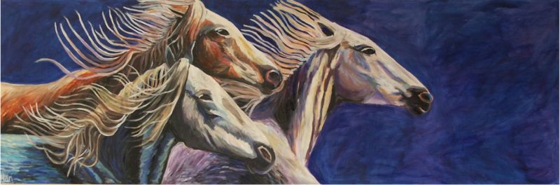 Wilde paarden