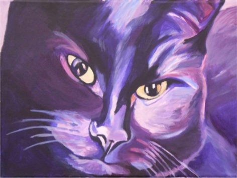 Zwarte kat