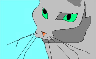 kattenkop