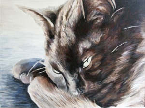black cat