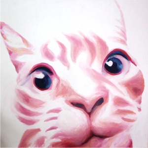pink cat