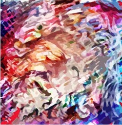 digi1
