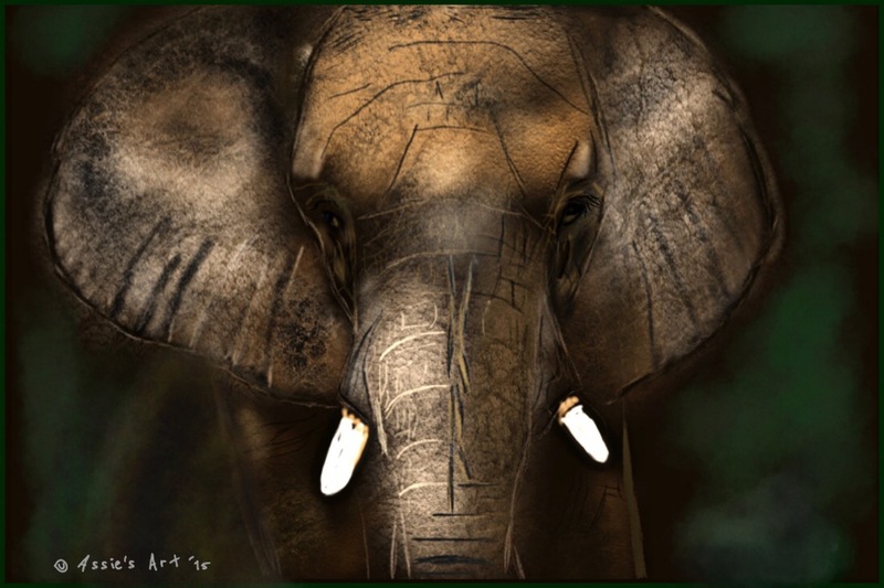 Wildlife Elephant
