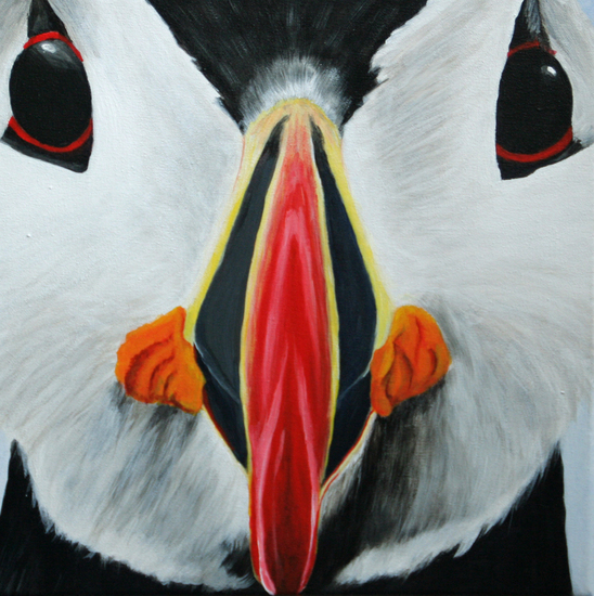 Puffin
