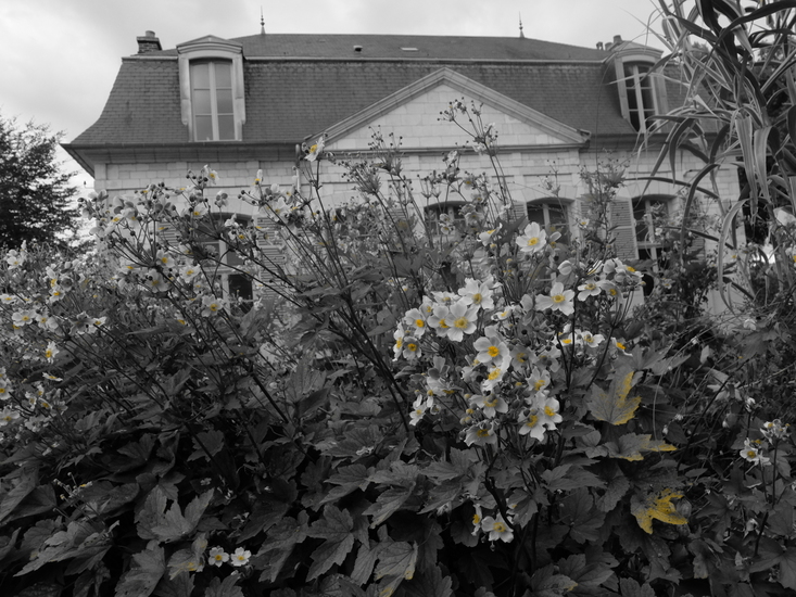 Entree botanische tuin Amiens