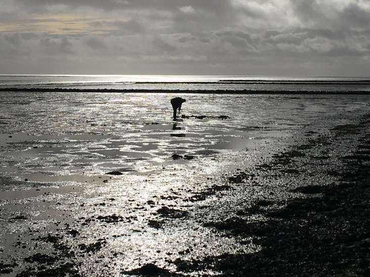 De Waddenzee