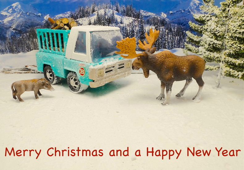 Kerstdagen in de sneeuw