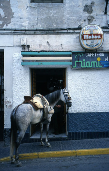 Paard voor café
