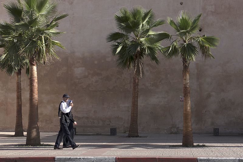 Wandelend onder palmbomen Meknez Marokko