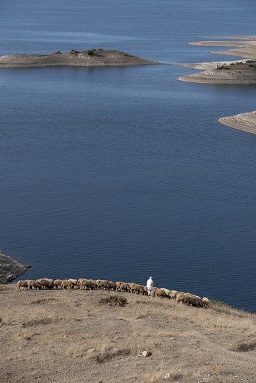 Herder met schaapskudde - Marokko