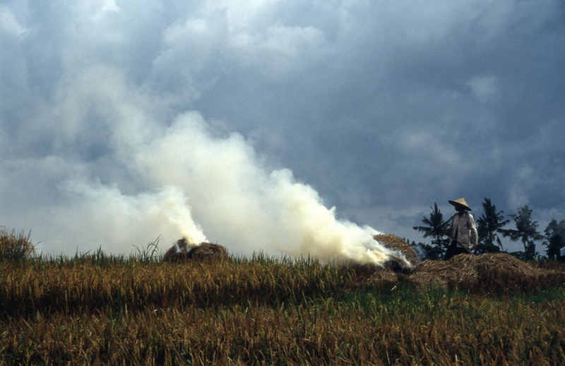 Restafval rijst verbranden Java