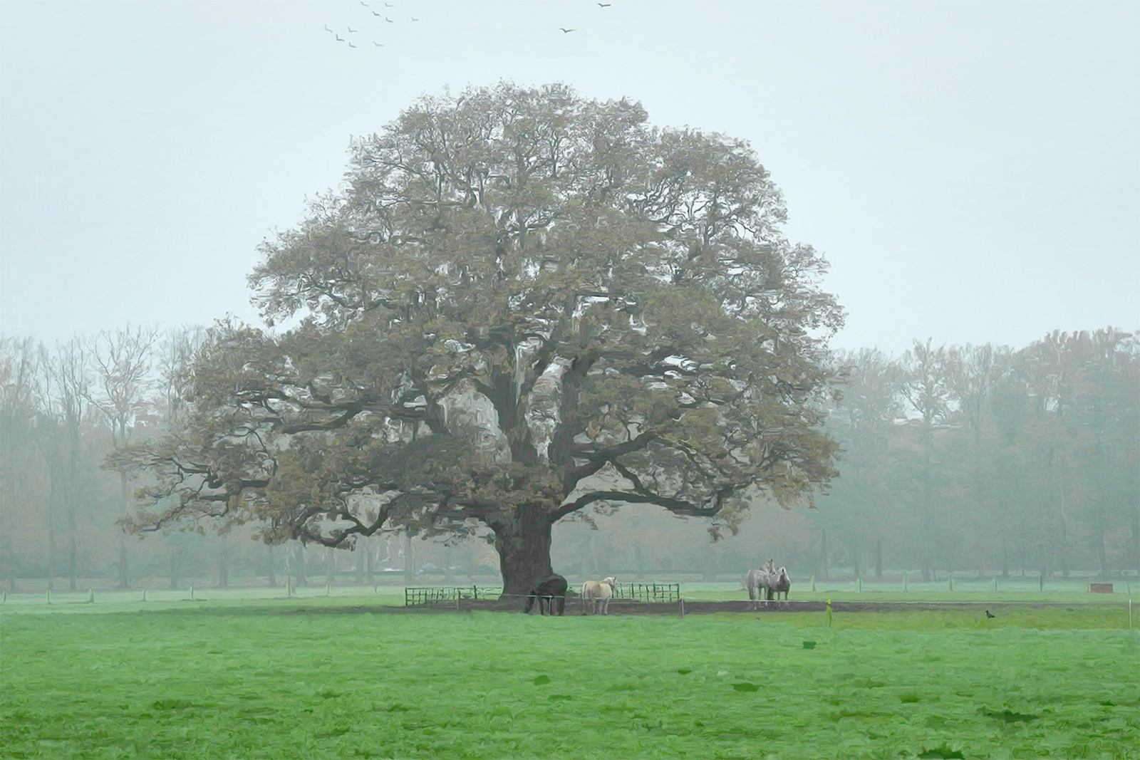 Lonely Tree 2012