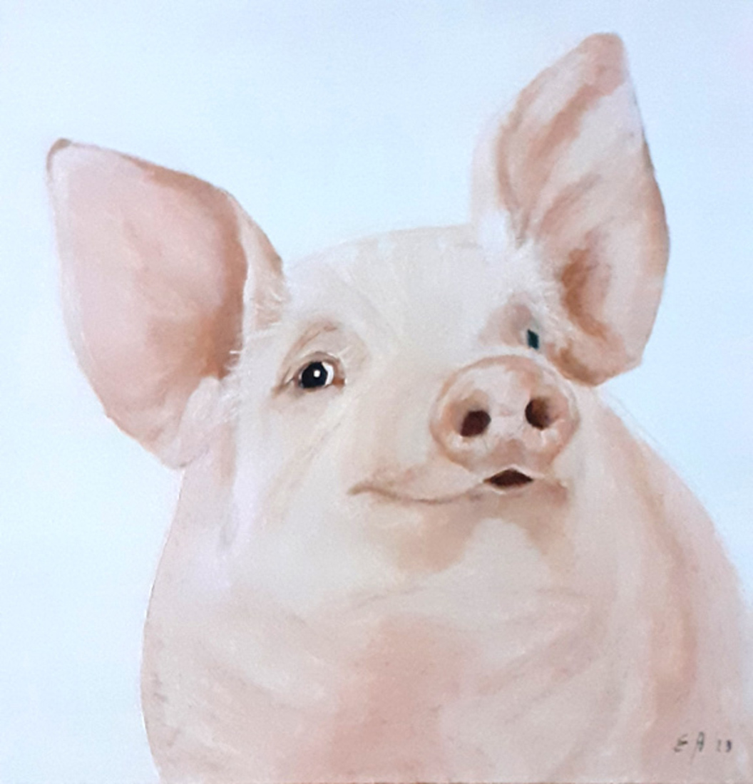 piggy 2