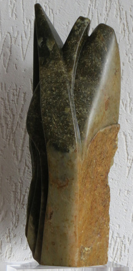 secret life of plants