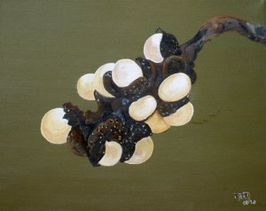 Schilderijen geschilderd met acrylverf 