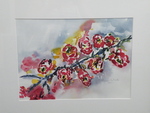 Aquarel schilderijen
