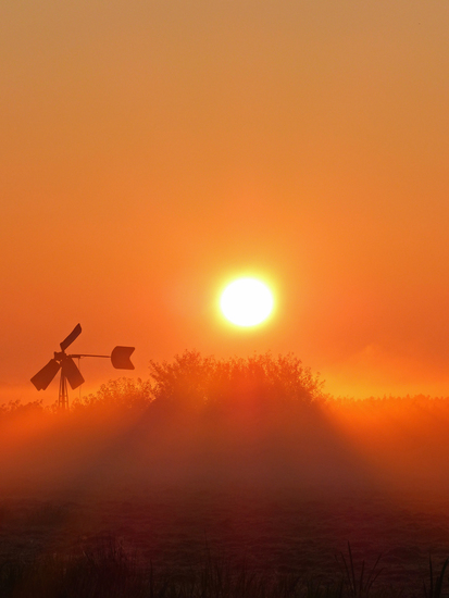 Natuur in Steenwijkerland
