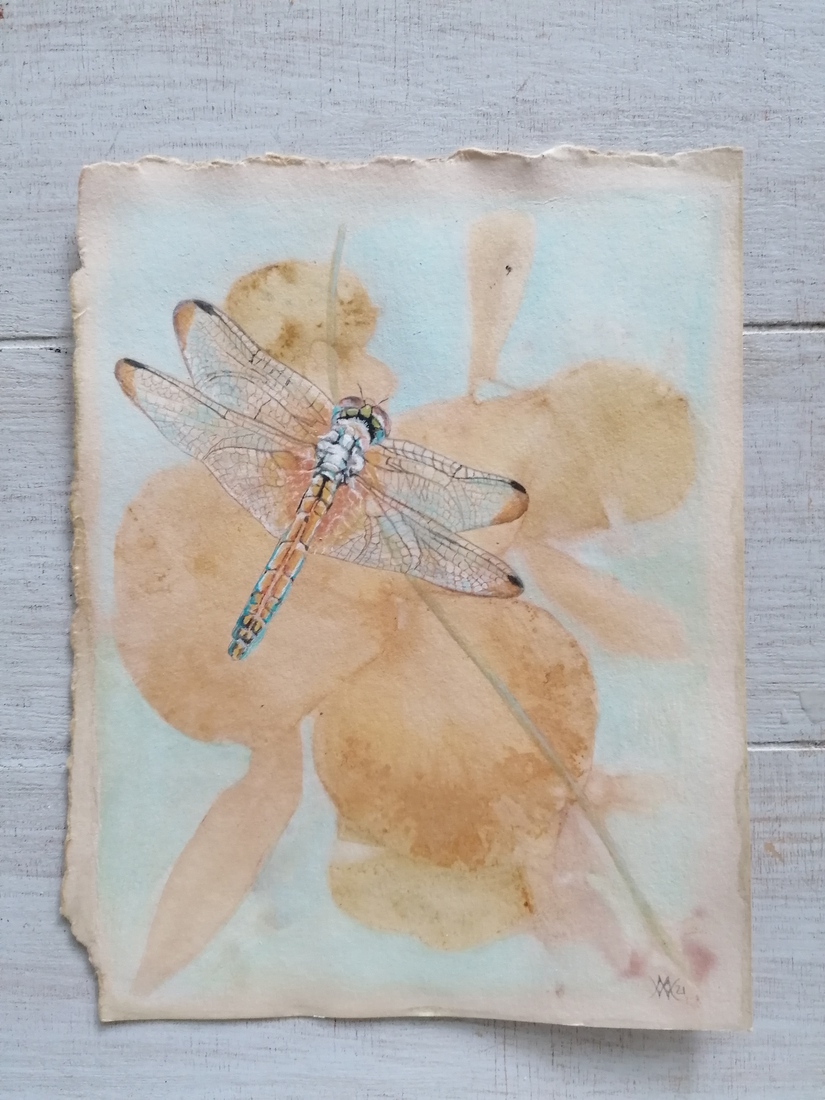 Libelle