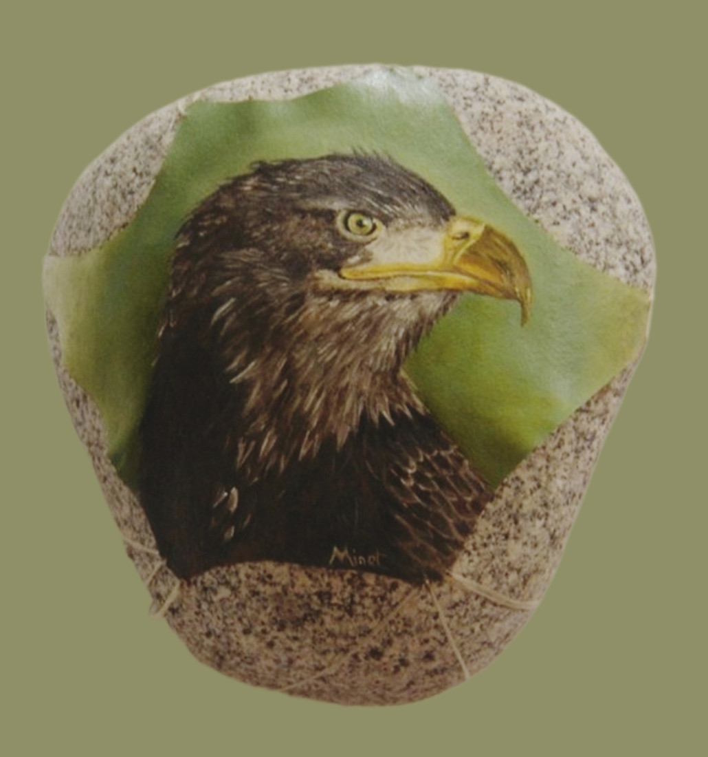 Bruine adelaar