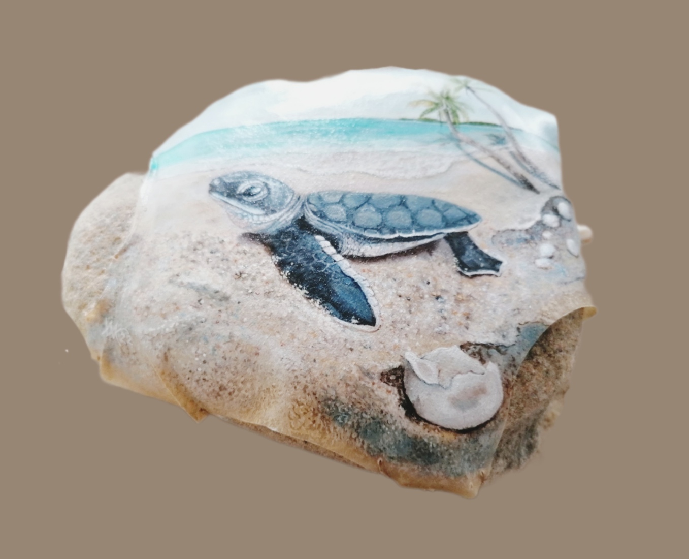 Schildpad