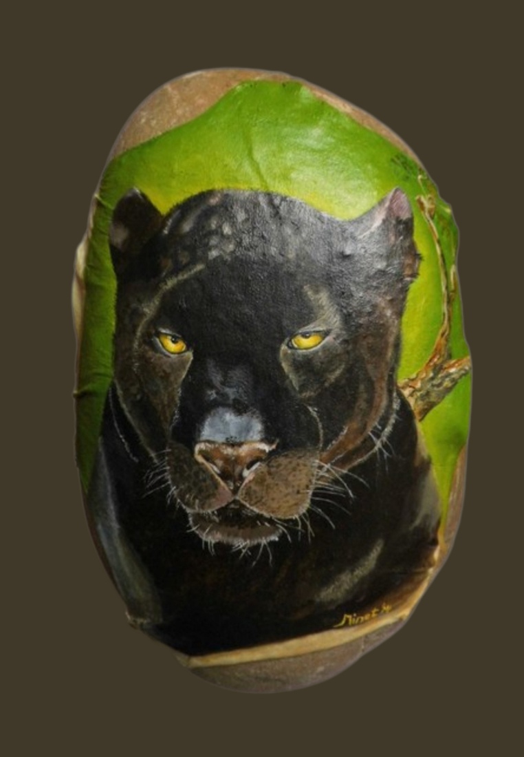 Zwarte luipaard Spirit