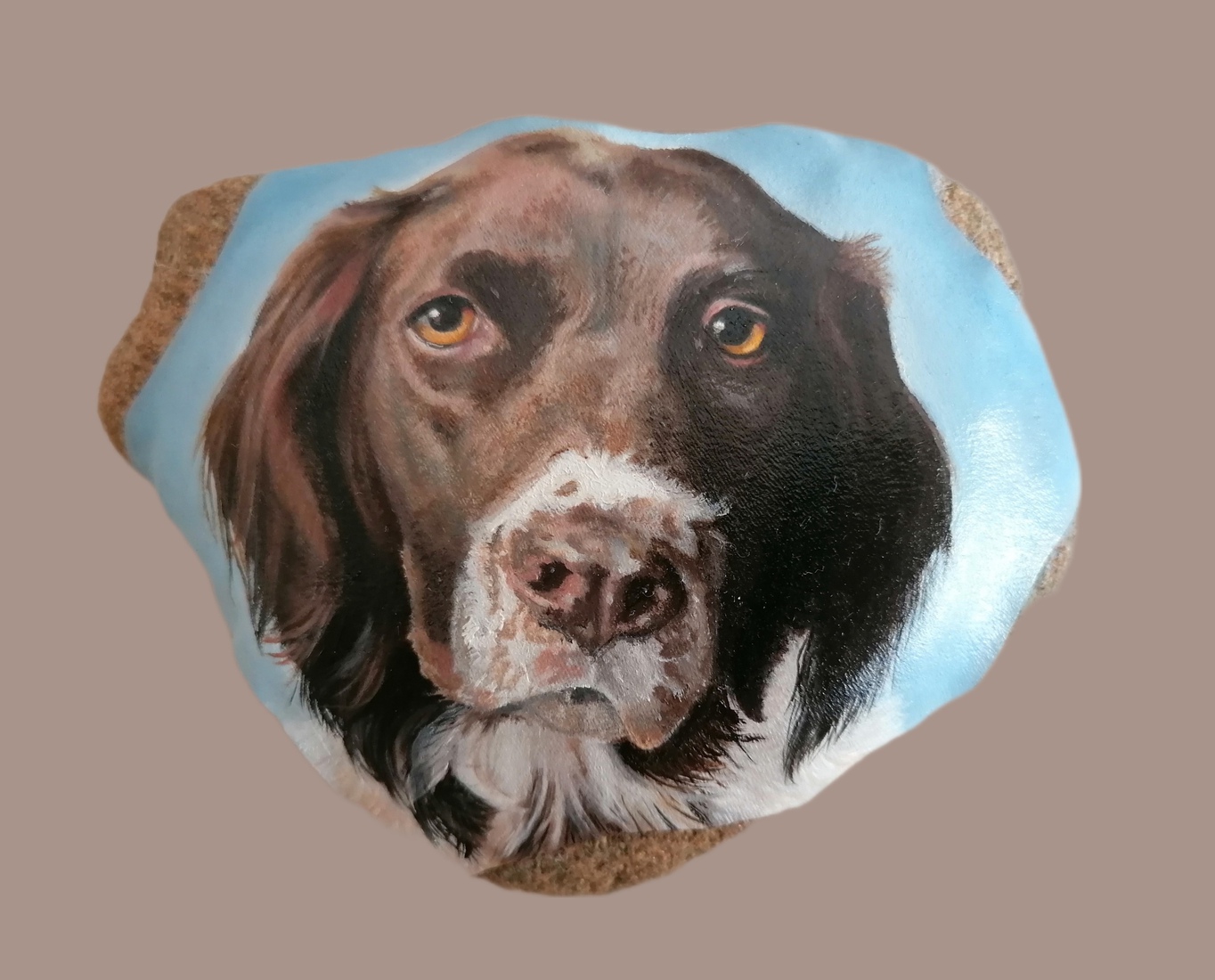 Hond Lucy