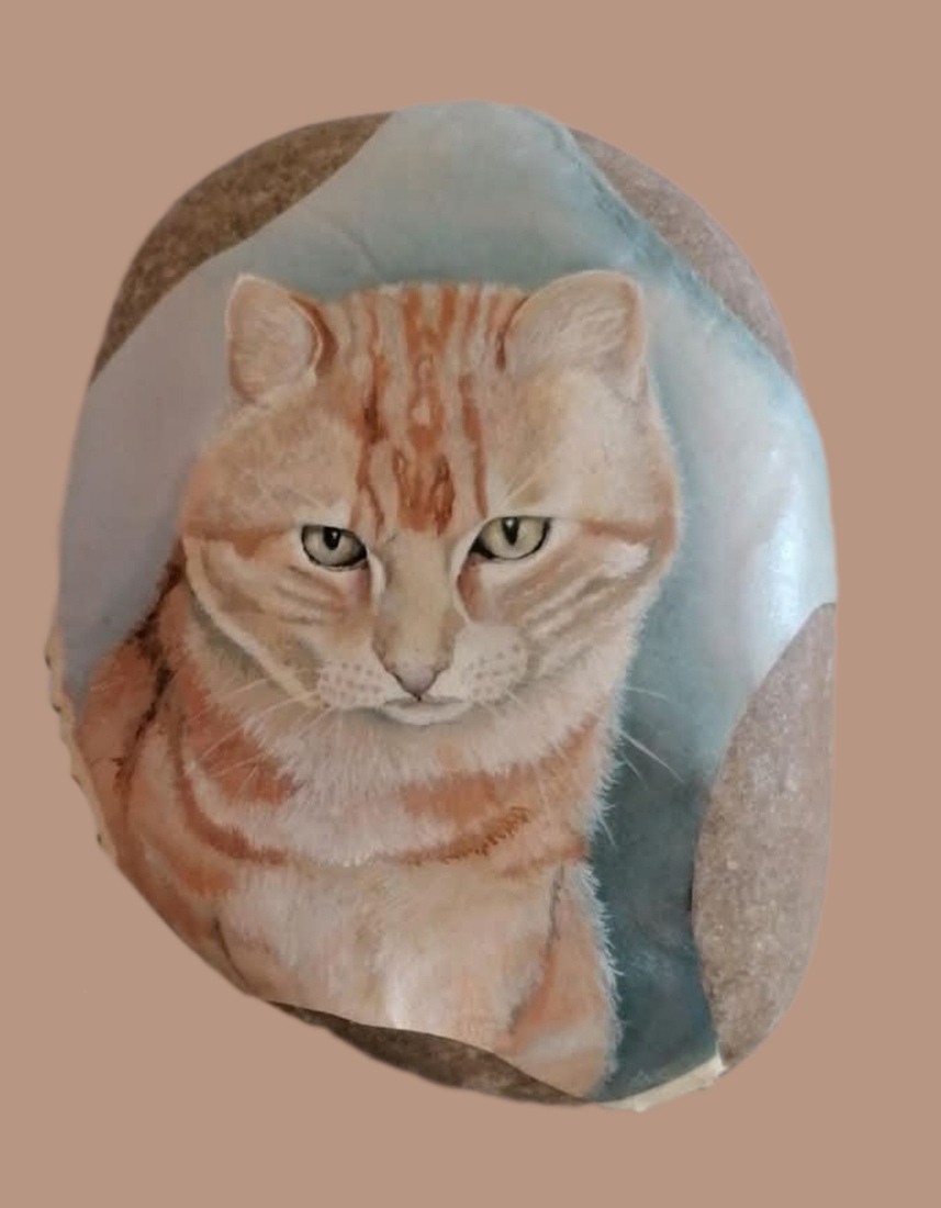 Rode kater Poekie